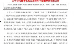 最新爆料执行官是谁呀,神秘执行官身份大起底！